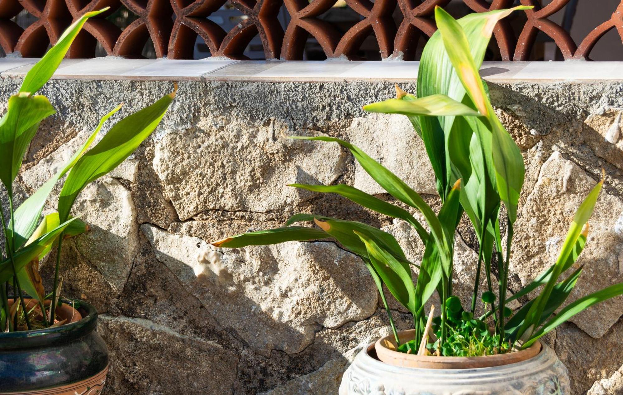 Casa Delicias Con Piscina Privada A 200M Playa - By Marina Alta Holidays デニア エクステリア 写真